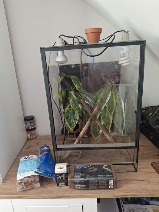 Terrarium  akwarium