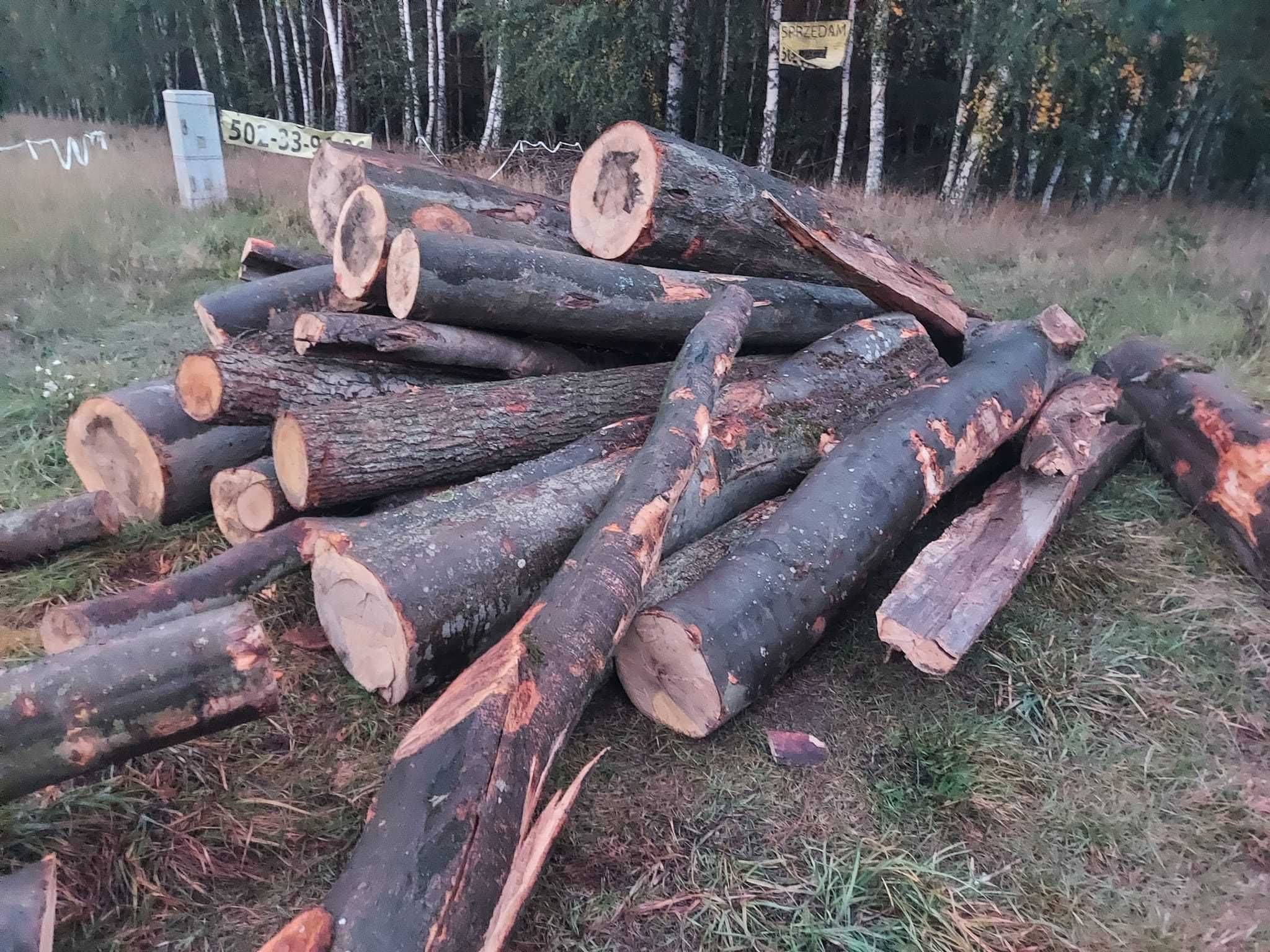 Drewno kominkowe twarde - uczciwe metry z lasu