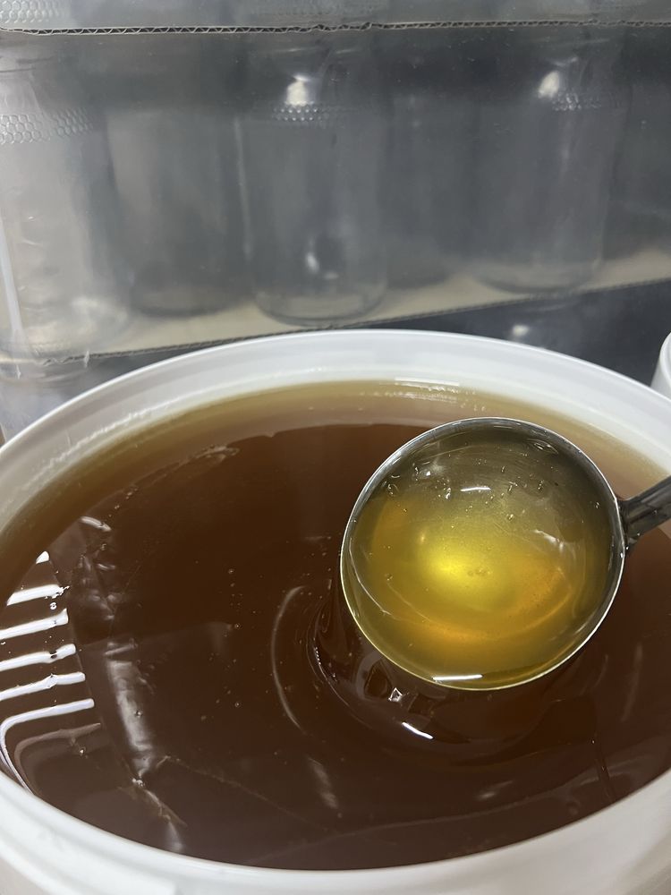 miod, miod wielokwiatowy naturalny pszczeli pasieki rodziny matki