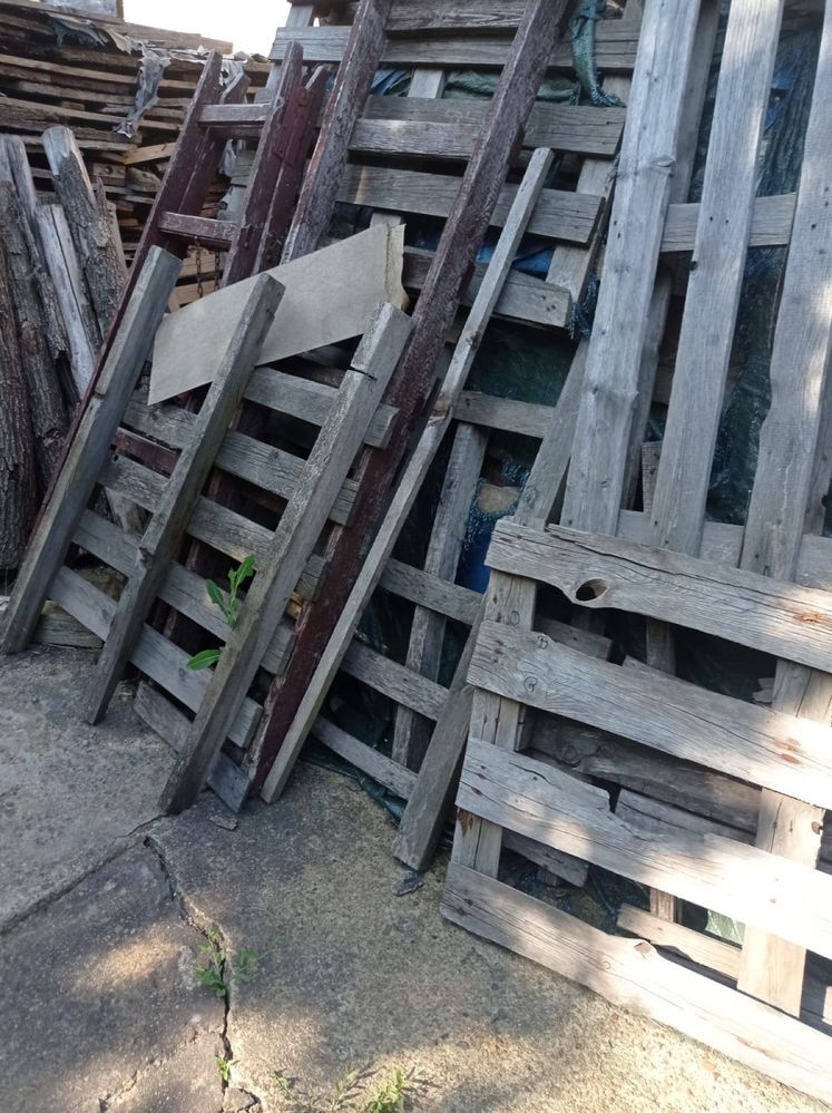 Drzewo opałowe i plyty