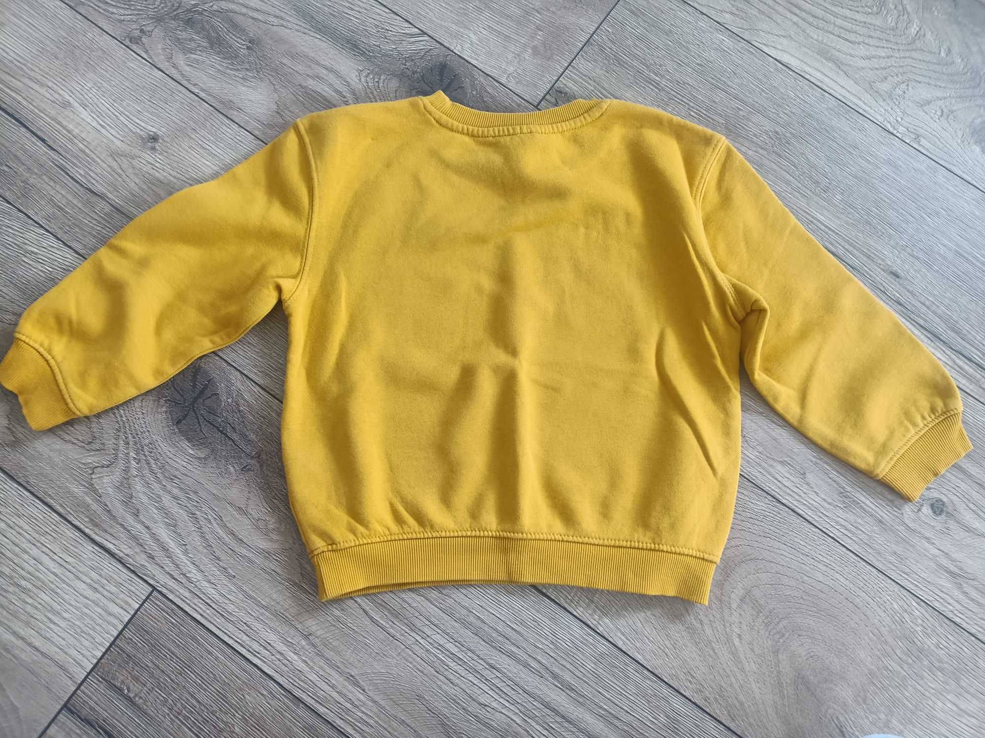 Bluza z długim rękawem 104