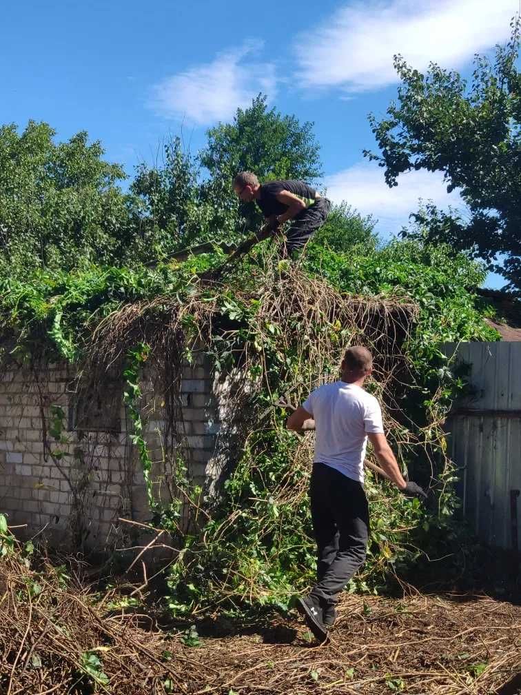 Аккуратно как себе, покос травы ,вспашка ,уборка участка. Алтестово