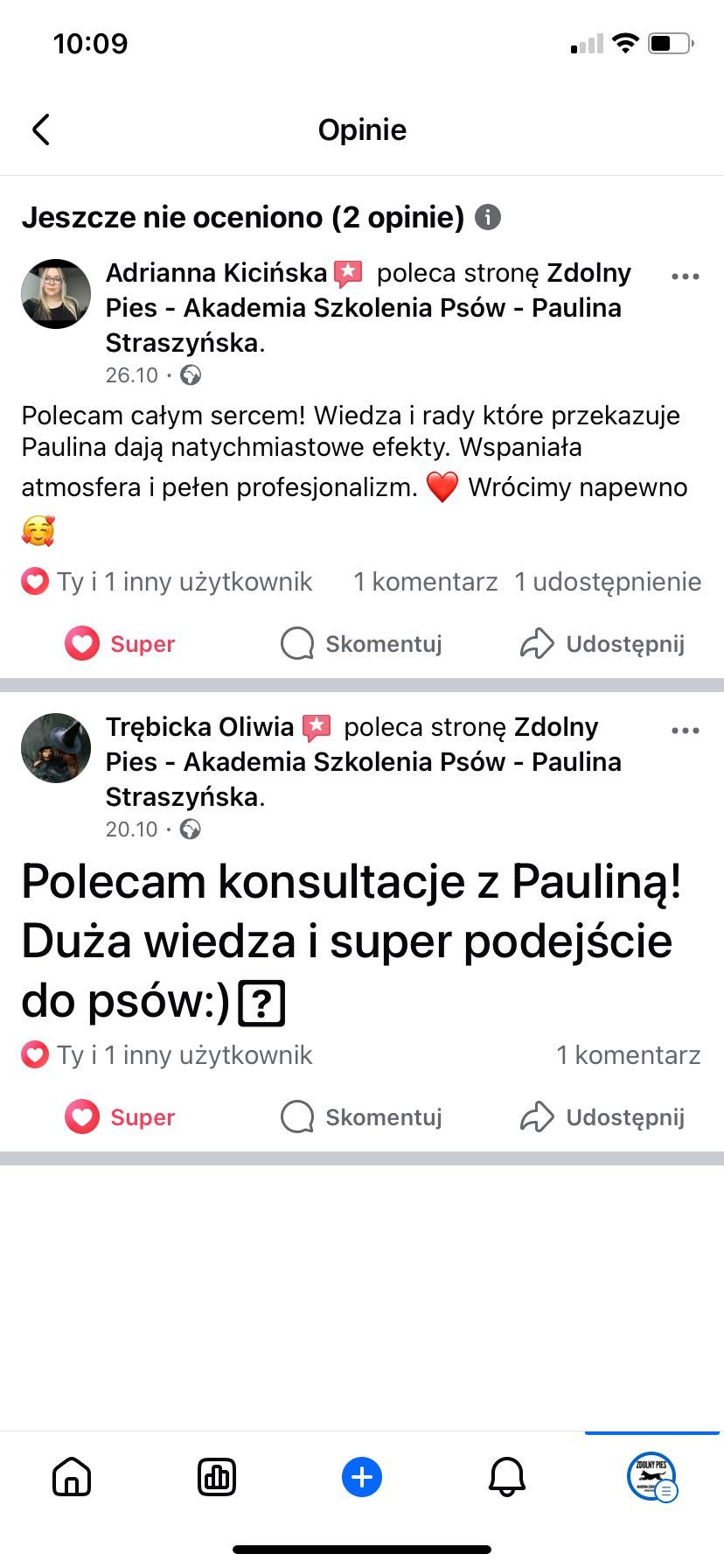 Behawiorysta psów, trener psów, zoopsycholog, Gorzów Wlkp.