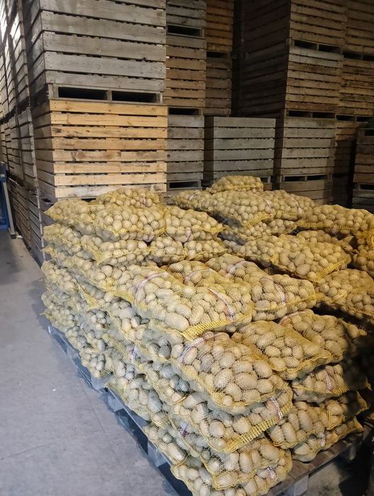 Ziemniaki Kartofle Pyry Katering Restauracja Stołówka