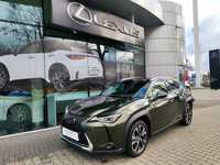 Lexus UX Lexus UX250h Business Edition, Salon Polska, VAT 23%