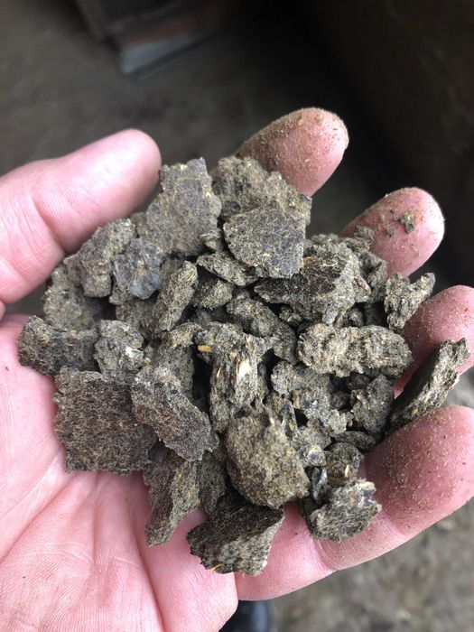 Макуха соняшника