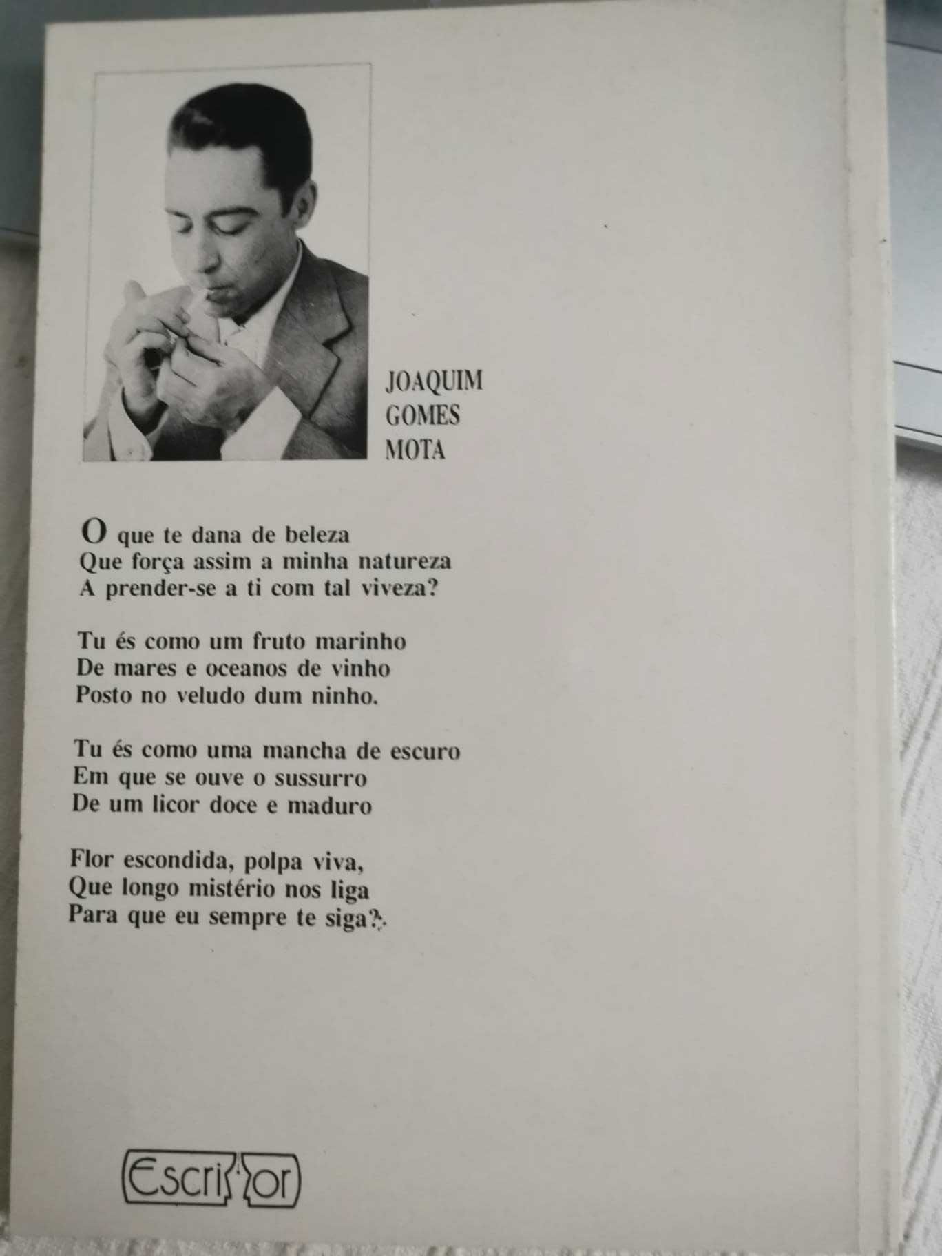 Pássaro Azul - Joaquim Gomes Mota