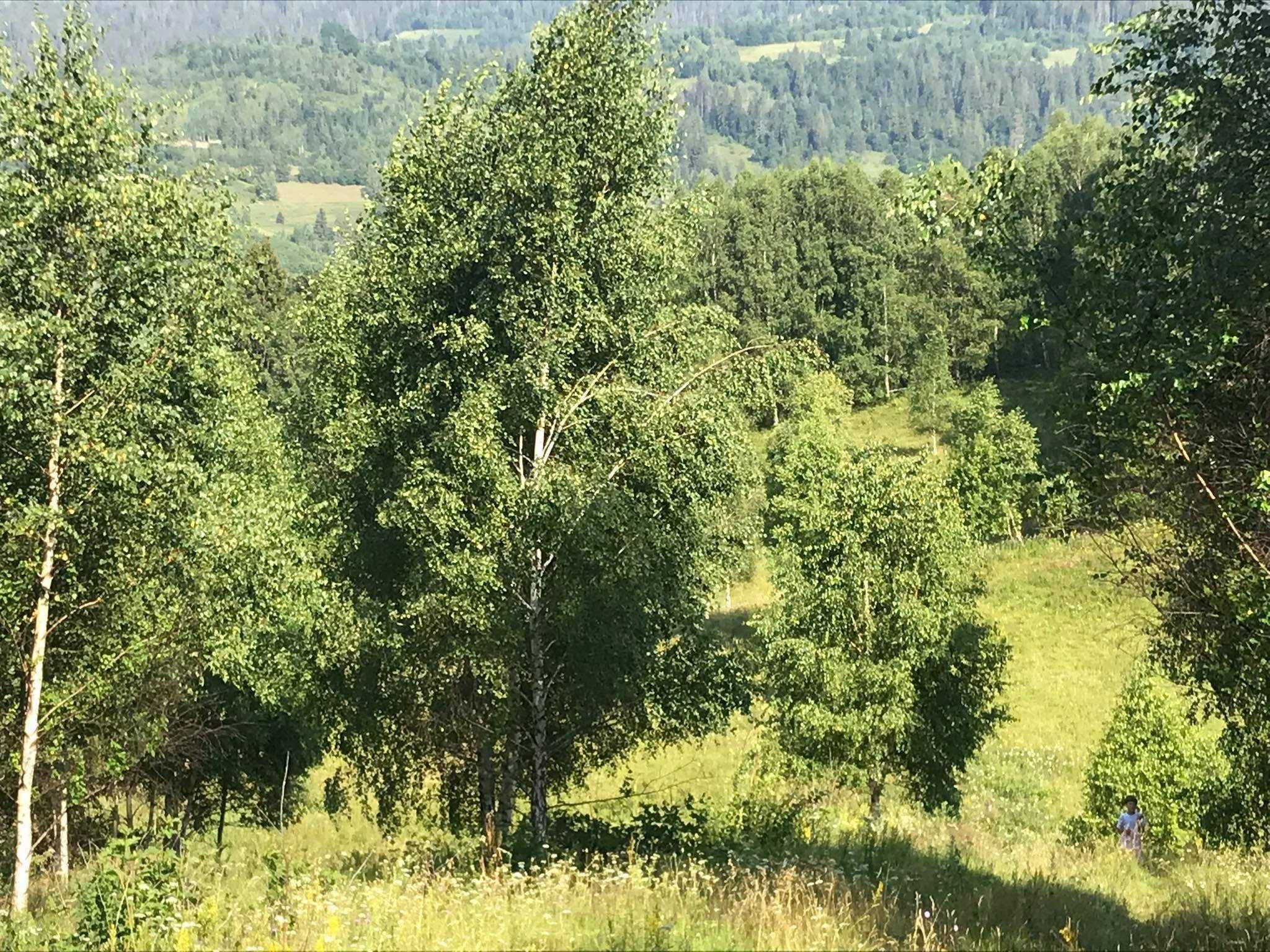 Продаємо чудову ділянку у селещі - курорті Славсько
