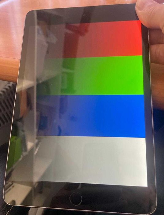 Ipad mini 4 + Cellular Avariado