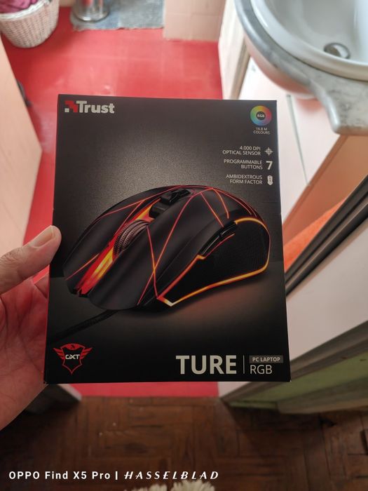 Rato gamming Trust ture