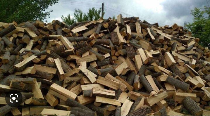 Продамо дрова різних видів та розмірів від 1 до 10 складометрів