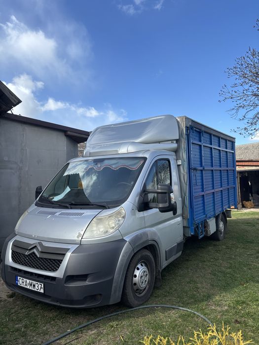 Transport żywych zwierząt i inne