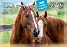 Kalendarz 2025 Rodzinny Konie w plenerze. Lucrum