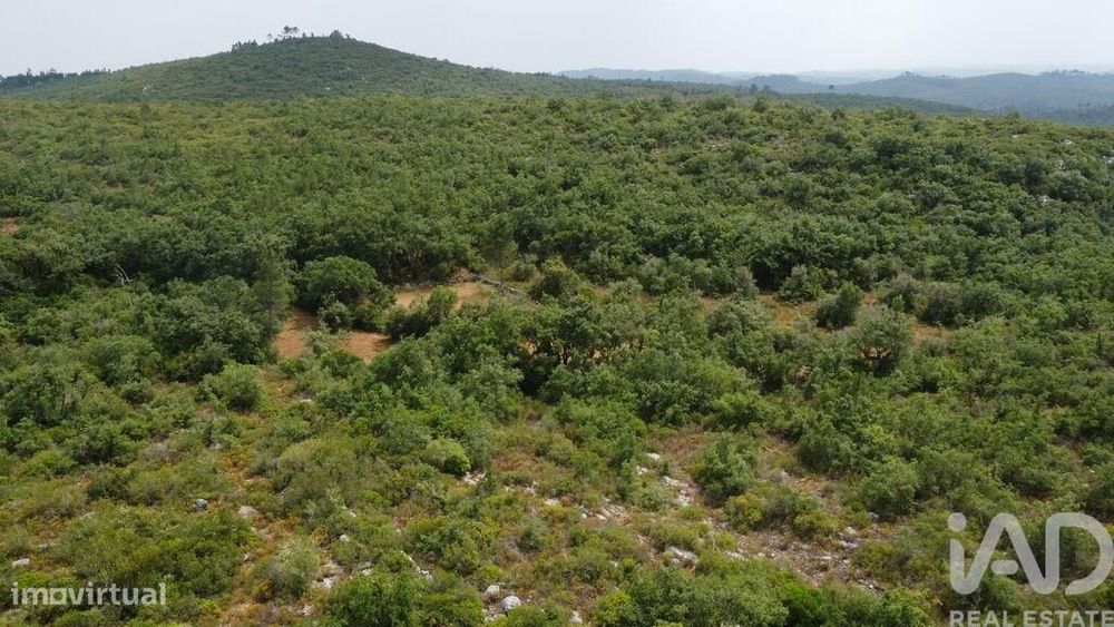 Terreno em Chãos de 4480,00 m2