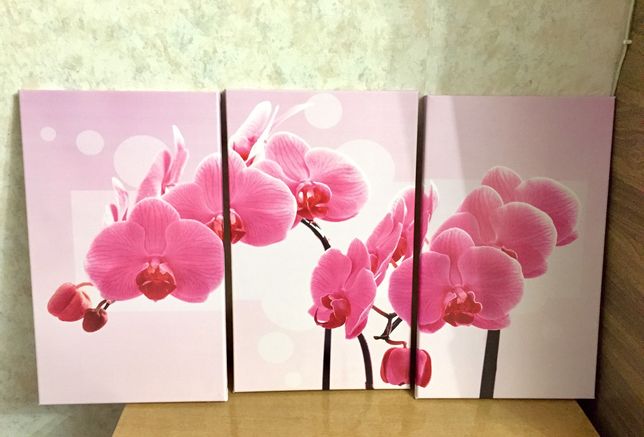 Картини набір орхідея 53х32 см кожна