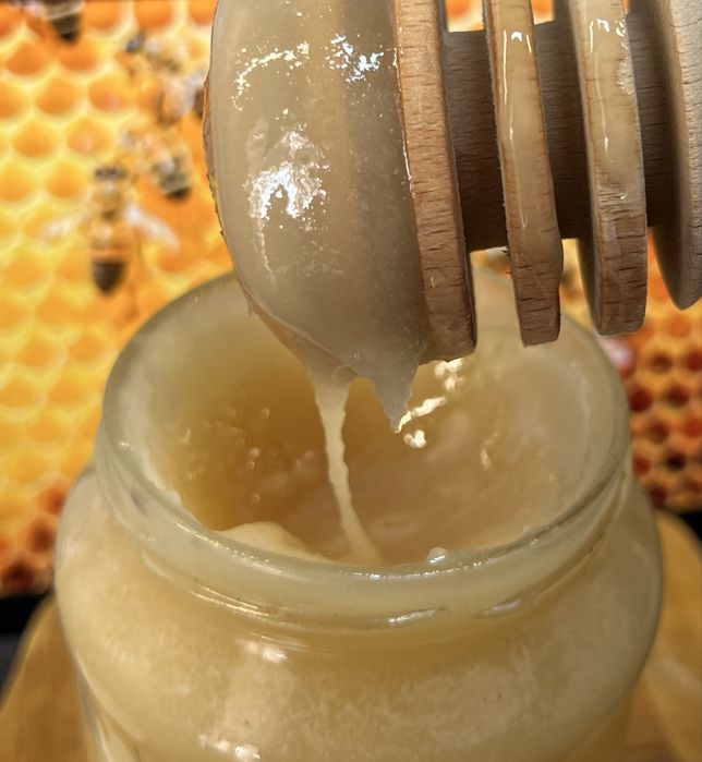 Справжній Український Чистий Мед із Власного Вулика, Без Хімії та ГМО