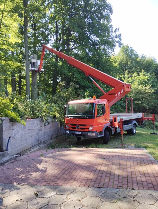 Usługi, Wycinka, przycinka drzew z podnośników koszowych 20m/31m,