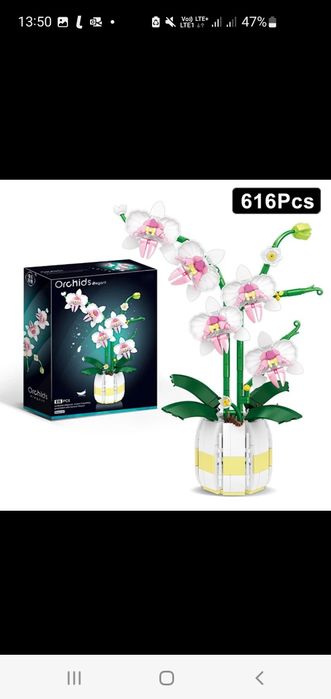 Orchidea. Storczyk 10311. Bukiet Kwiatów prezent dzień kobiet