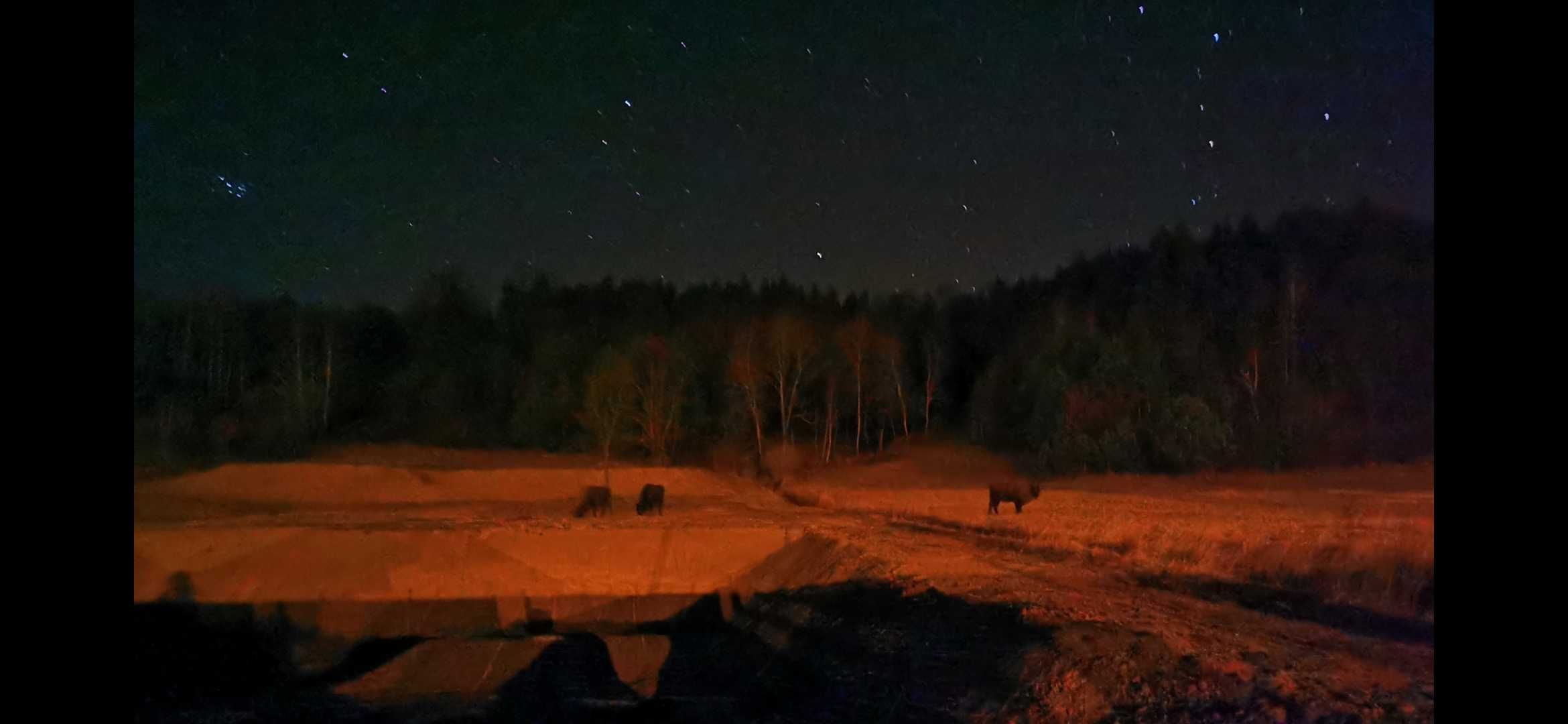 19-21.04 Domek z Prywatnym Mini Spa BIESZCZADY Siedlisko Pod Pucharami