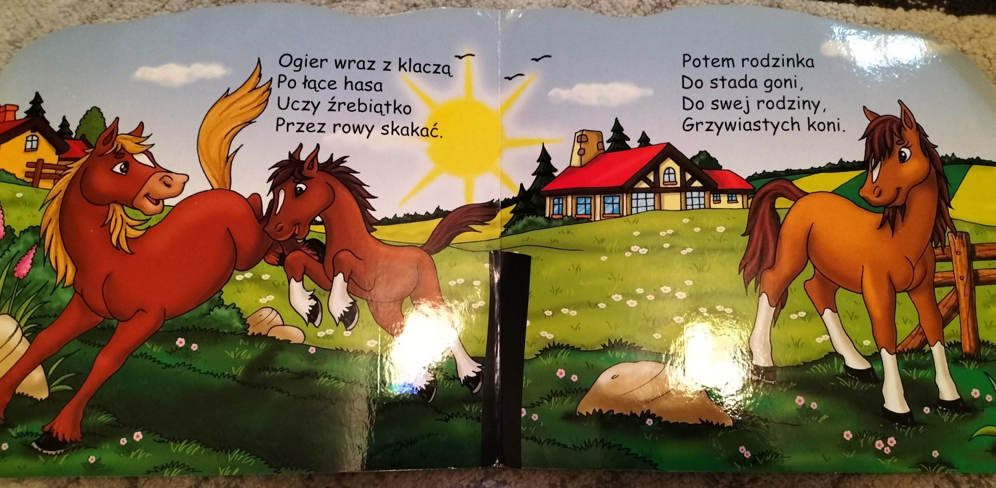 Książeczka "Zwierzęta i ich młode"