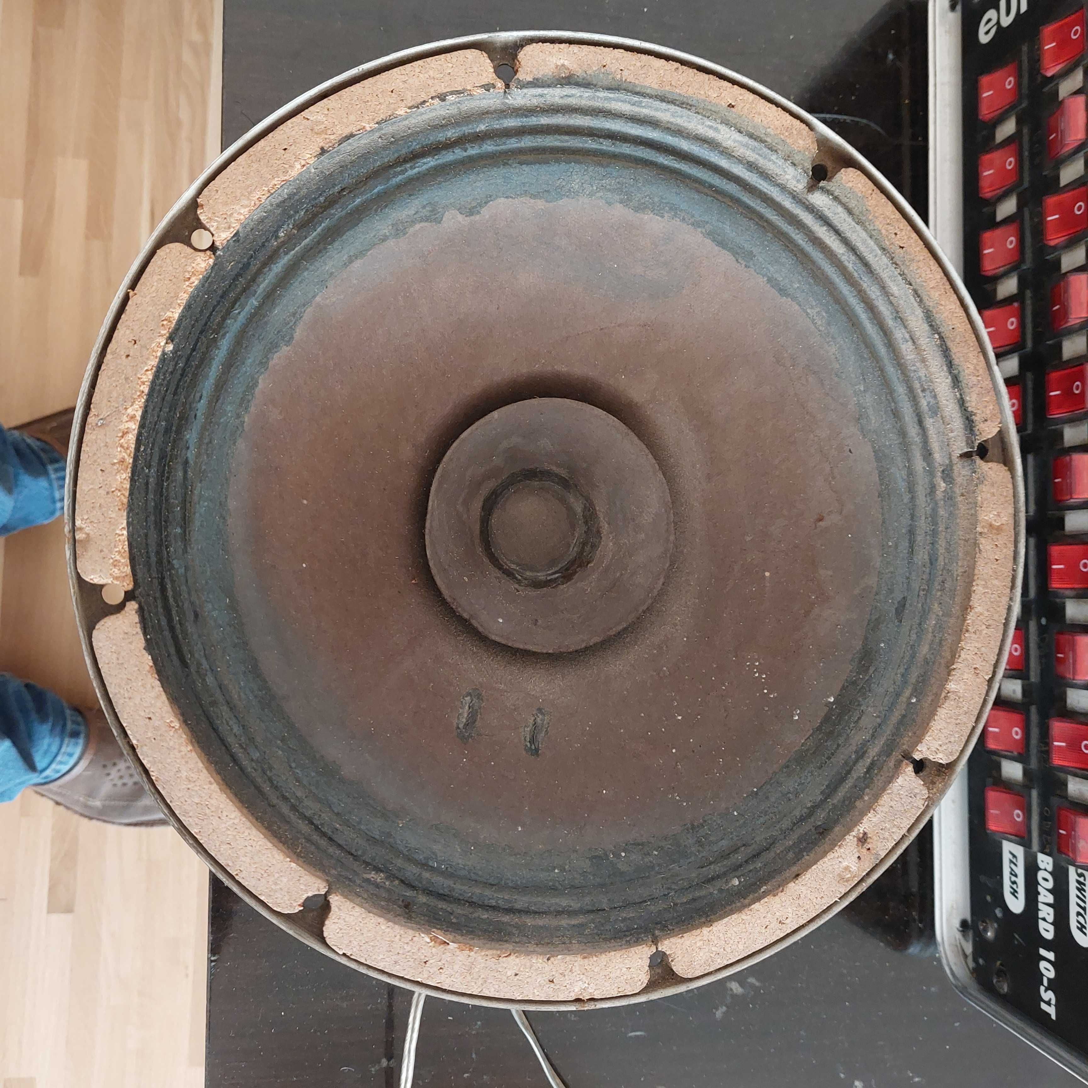 Głośnik szerokopasmowy Philips 12100