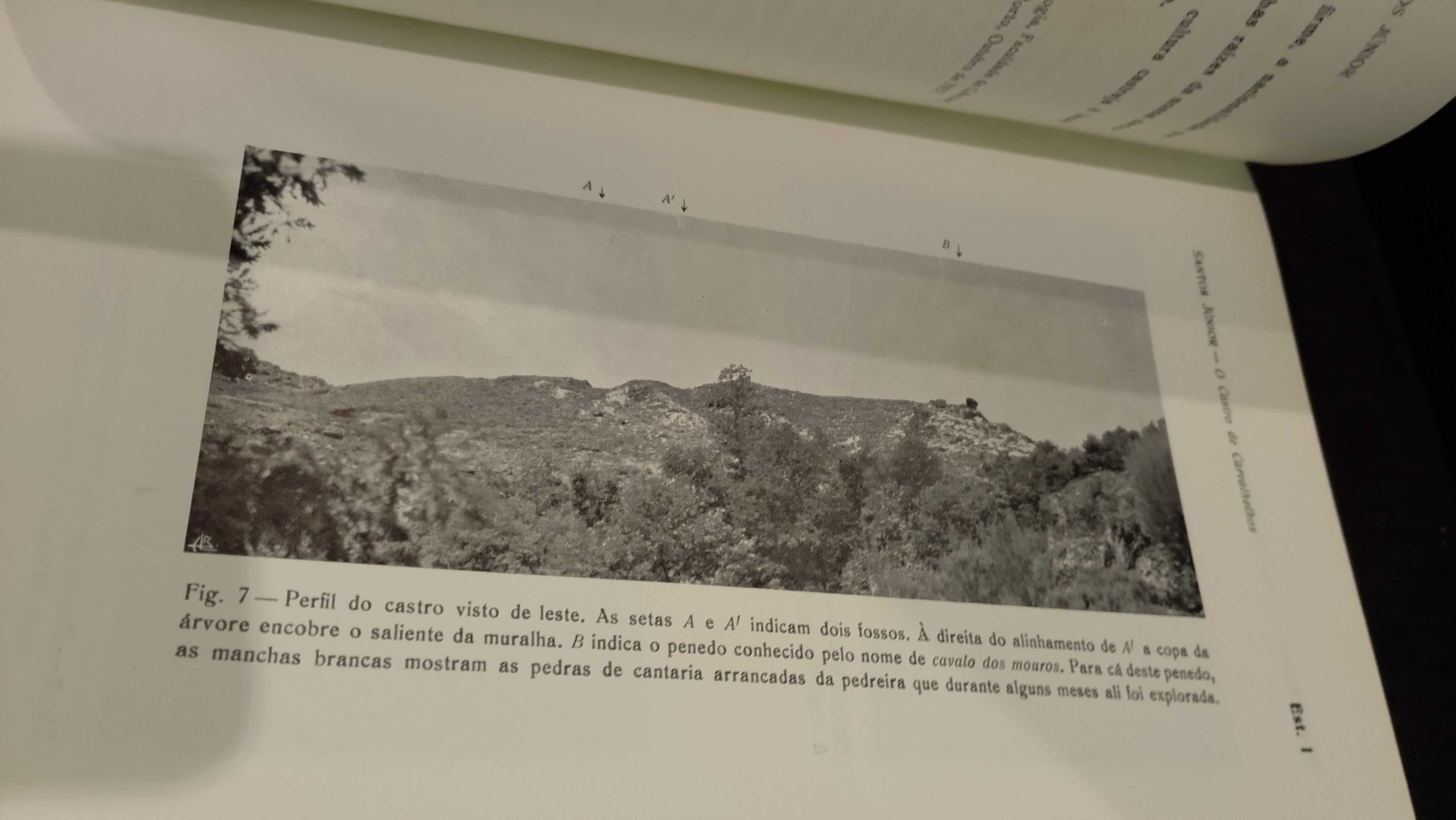 O Castro de Carvalhelhos - J. R. dos Santos Júnior