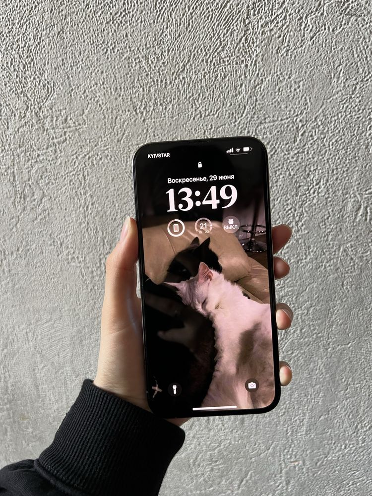 iPhone 13 Pro Max