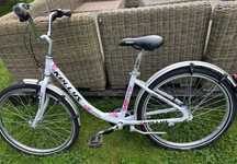 Rower Kellys Maggie 24
