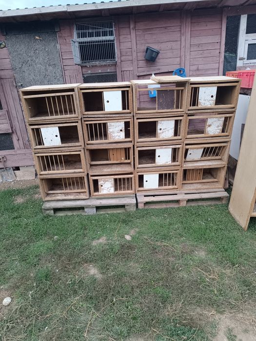 Cele lęgowe dla gołębi