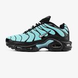 Мужские кроссовки Nike Air Max Plus TN "Dark Tiffany" 40-45
