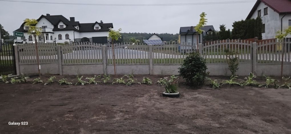 Minikoparka usługi prace ziemne ogrodowe glebogryzarka niwelacja teren