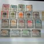 NYASSA denteado 13,5 e 15