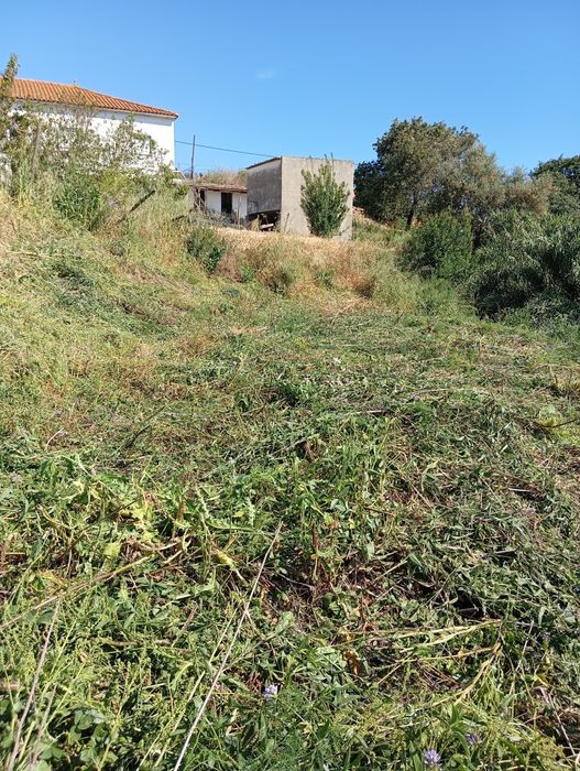 Limpeza de terrenos