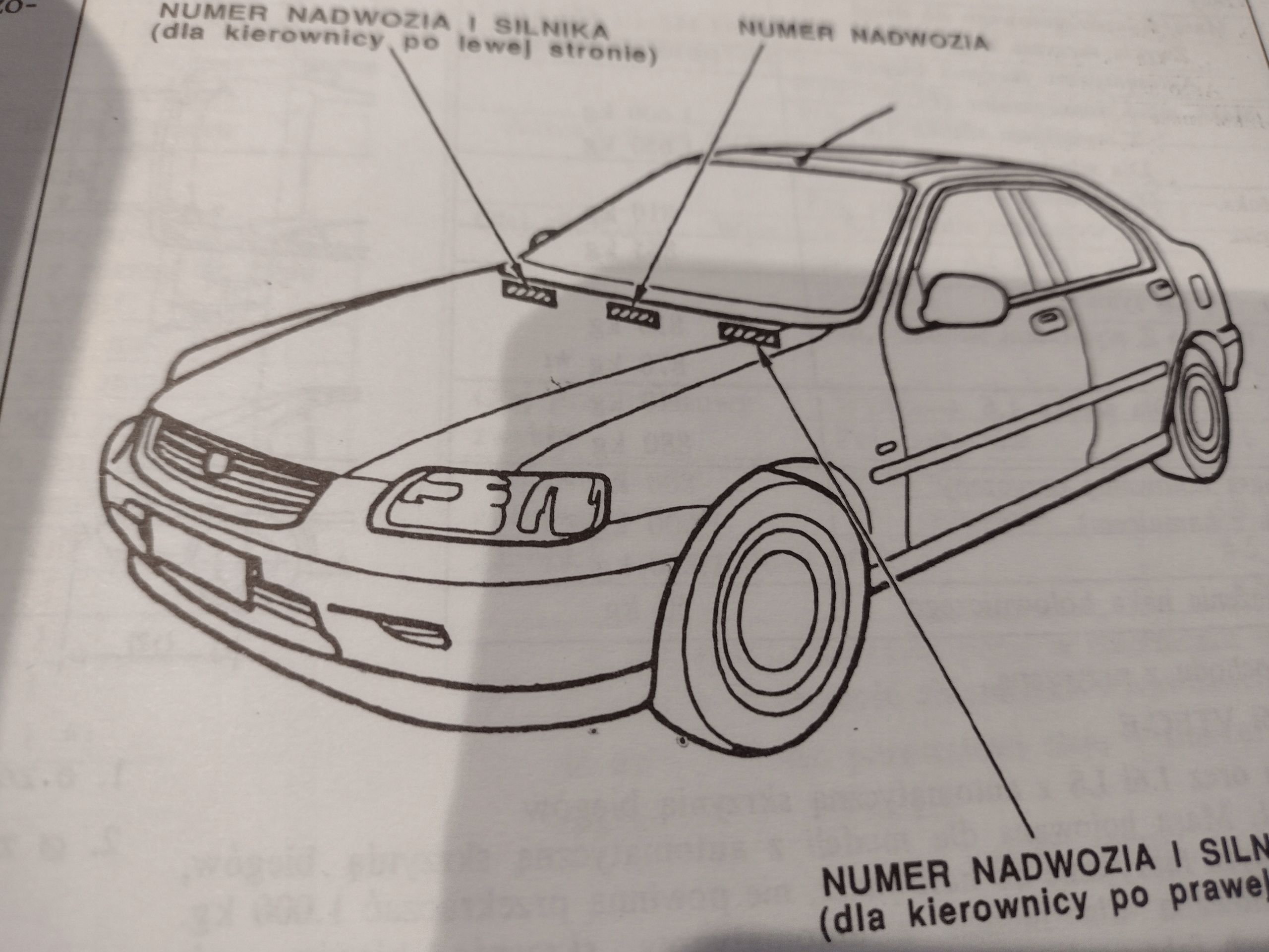 Honda Civic Vi Instrukcja Książka 1998 Pl Polska