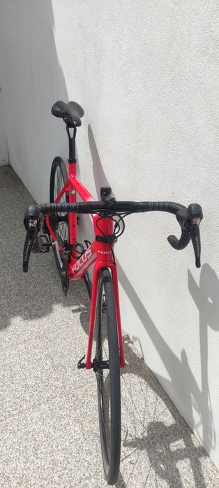 Focus izalco Race carbono