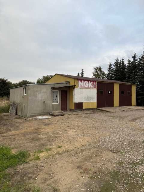 Wynajem Hala magazynowo warsztatowa z częścią socjalną oraz biurową