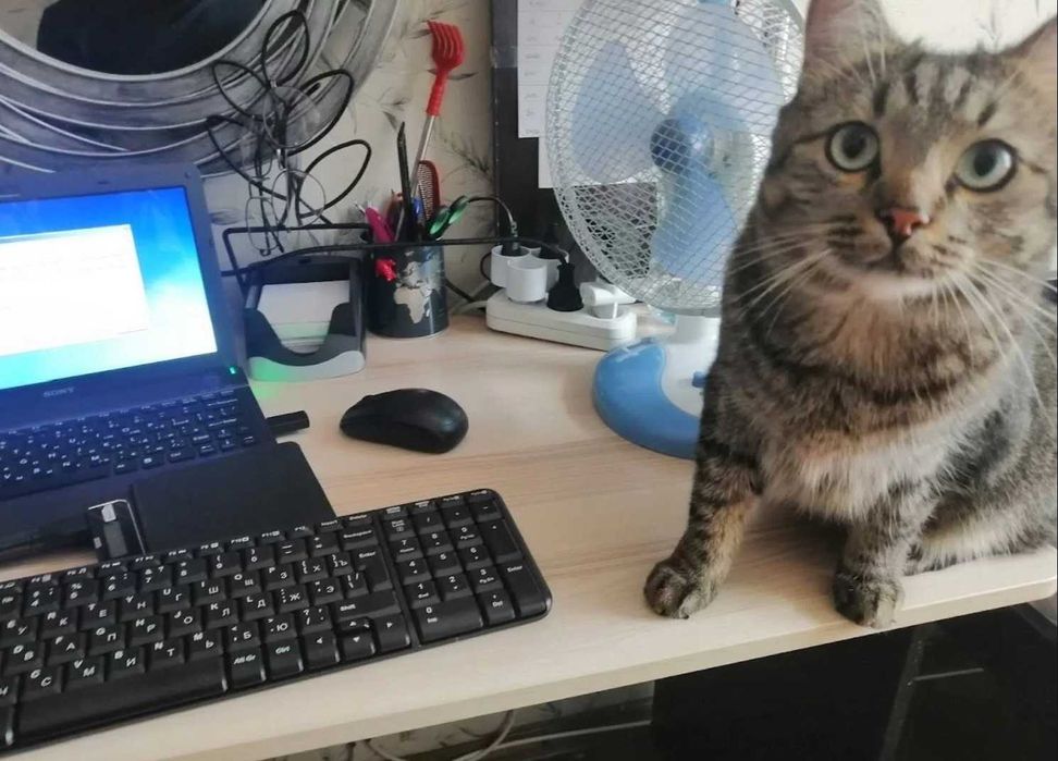 Компьютерный мастер. Ремонт компьютеров, ноутбуков, телевизоров. Выезд