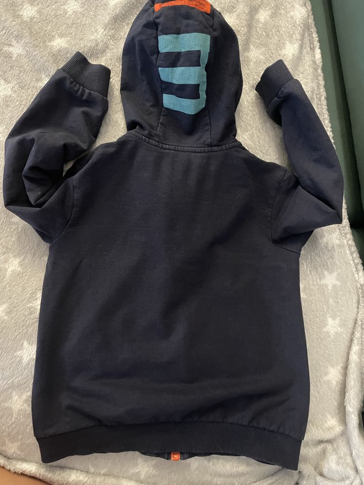 Bluza z dinozaurem