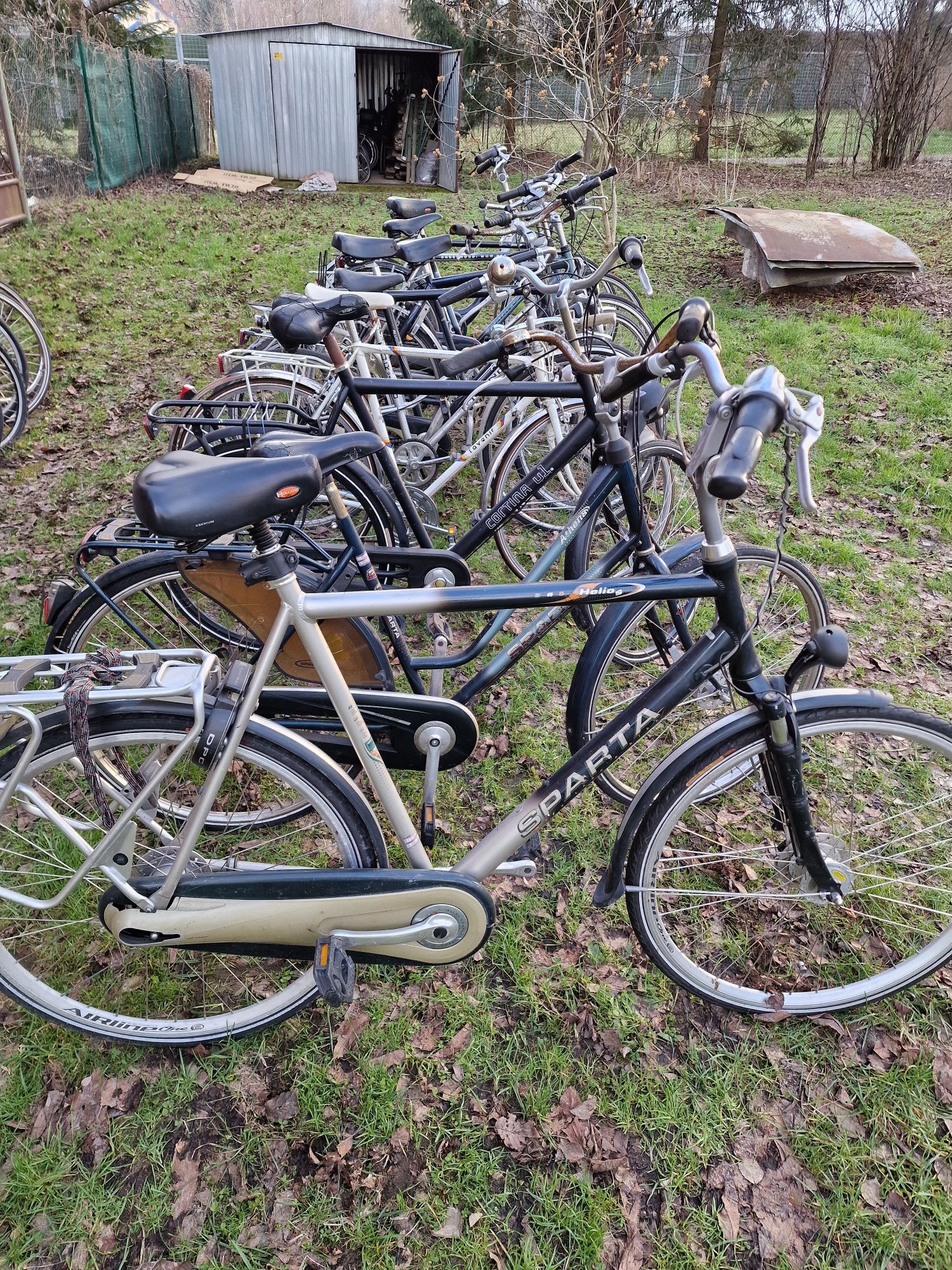 Pakiet rowerów holenderskich 40sztuk gazelle sparta batavus