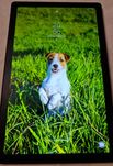 Tablet Samsung Galaxy Tab A7 2022 com capa protetora