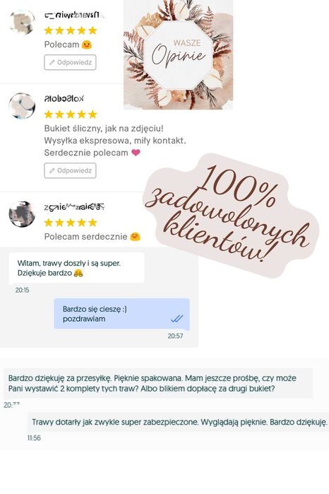 Suszona trawa trzcina boho pampasowa