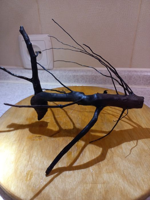 Анубіаси на корчах.