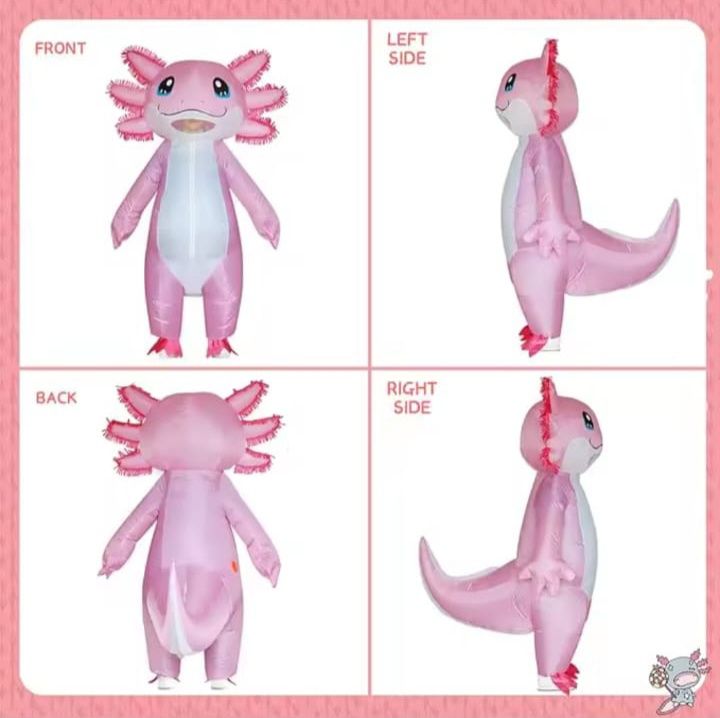 Dmuchany strój Axolotl Minecraft - różowa salamandra rozm. do 158cm
