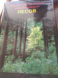 Продам иллюстрированную энциклопедию лесов