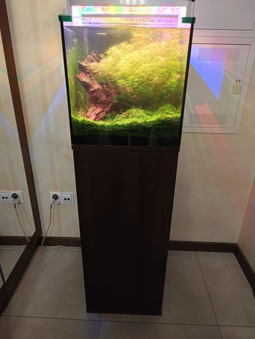 Akwarium kostka 40x40x40