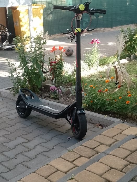 Sprzedaż hulajnoga elektryczna wingoo