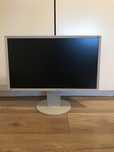 Monitor EIZD 60hz 55•23ce