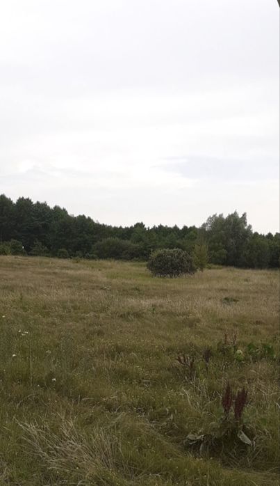 Продається земельна ділянка біля кордону!