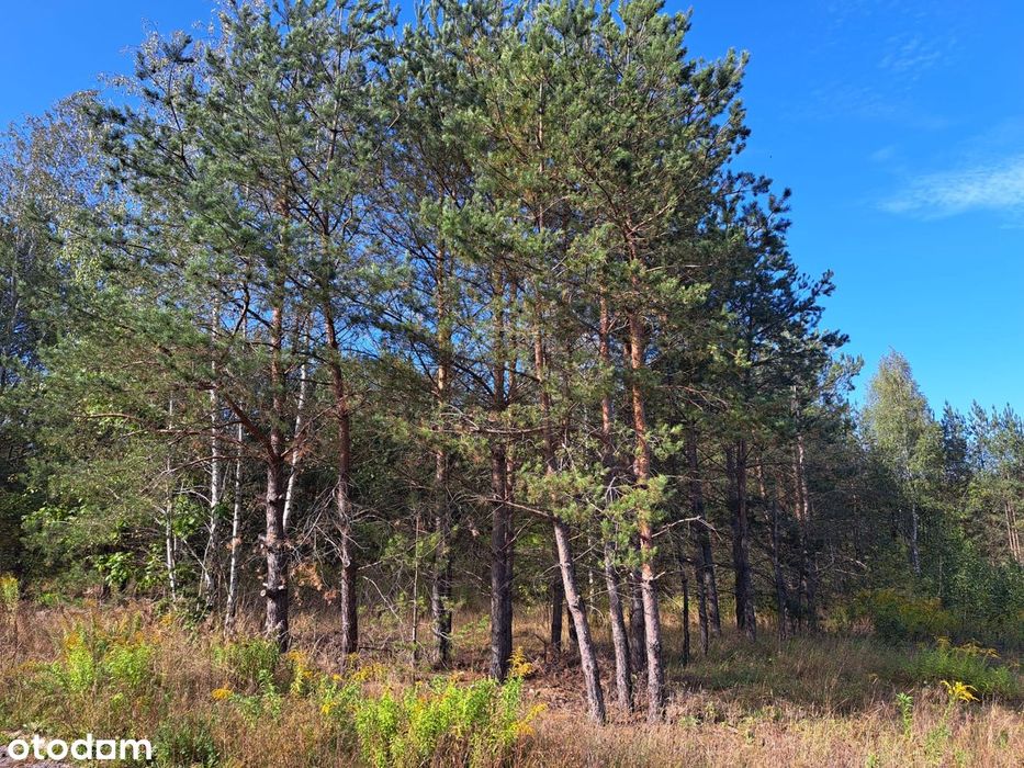 Działka 1054 m² w mieście, blisko natury!
