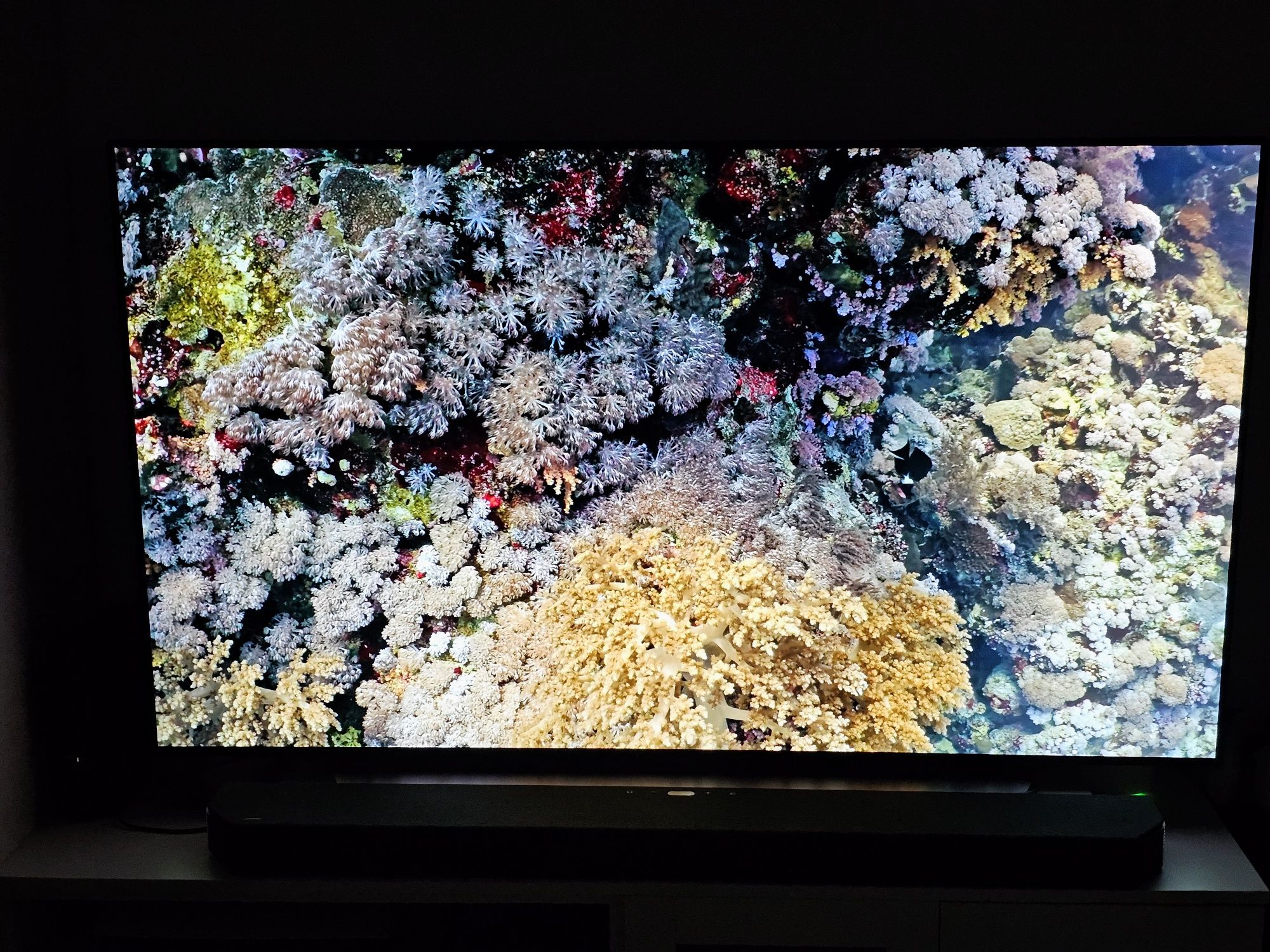 Televisão TV LG OLED 65CX 65"